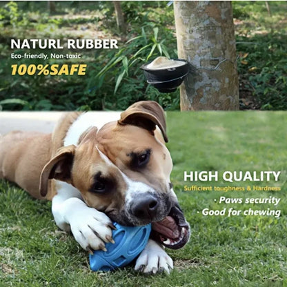 Durable Natural Rubber Squeaky Dog Toy