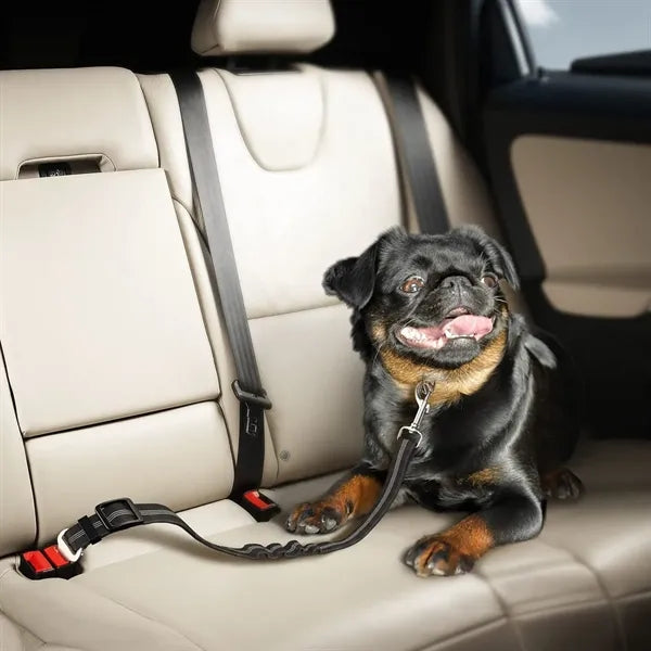 Safety Dog Leash For Car Seatbelt Bungee Cord
