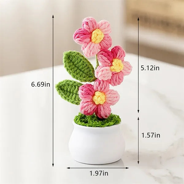 Cute graduation valentines decor gift potted crochet flowers