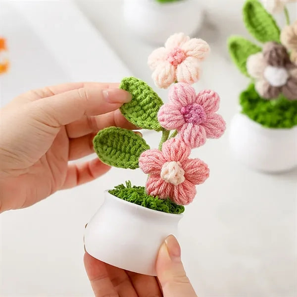 Cute graduation valentines decor gift potted crochet flowers