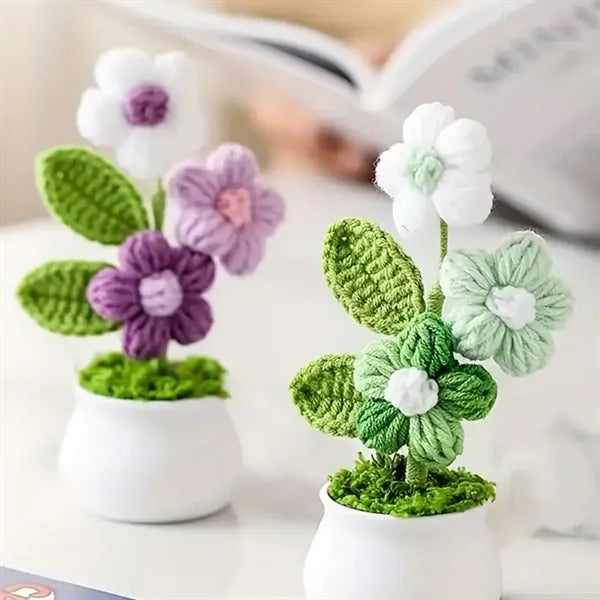 Cute graduation valentines decor gift potted crochet flowers