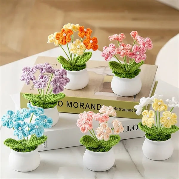 Cute graduation valentines decor gift potted crochet flowers