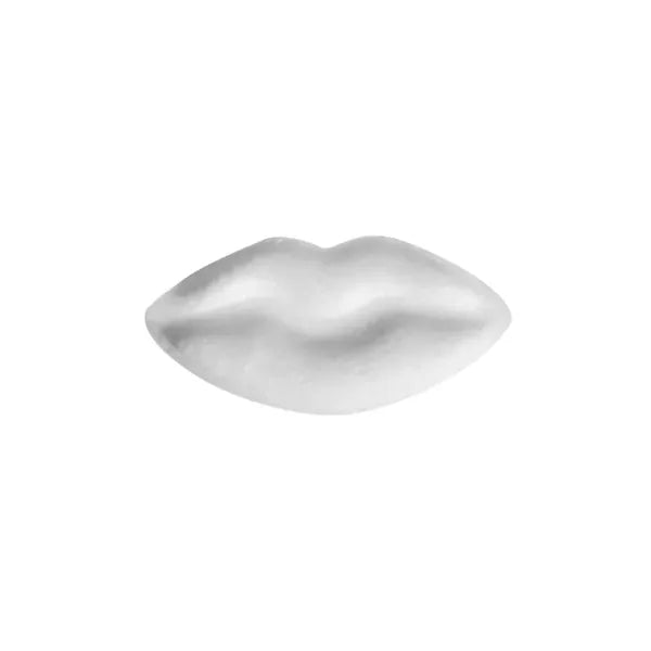 Rectangular Tin with Lip Shaped Mints