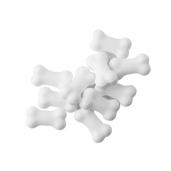 Rectangular Tin with Bone Shaped Mints