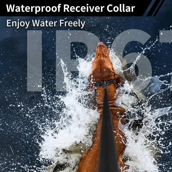 Breathable Multifunctional Waterproof Dog Training Device
