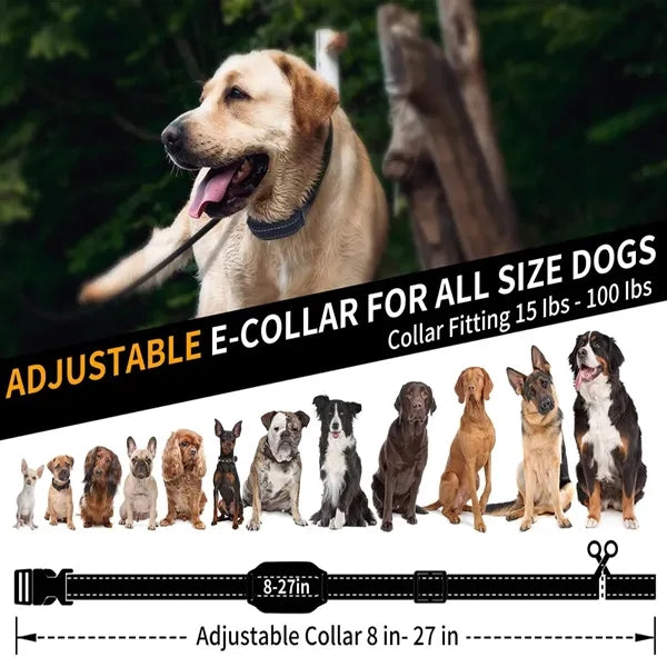 Breathable Multifunctional Waterproof Dog Training Device