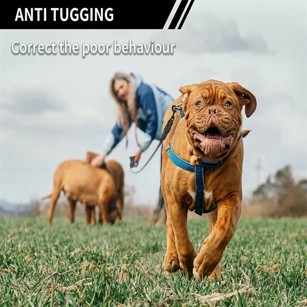 Breathable Multifunctional Waterproof Dog Training Device