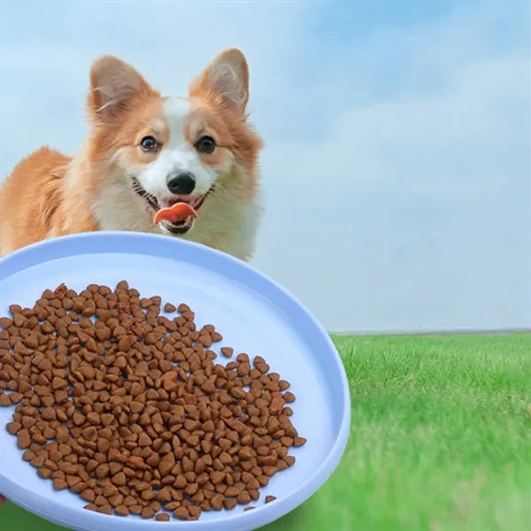 Toy Soft Indestructible Dog Flying Discs For Outdoor Sports