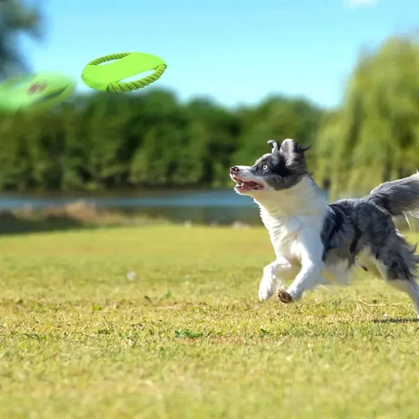 Rope Ring Dog Frisbee Toy with Durable Fabric