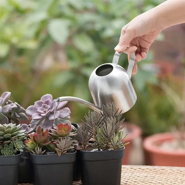 Garden indoor plants long spout stainless steel watering can