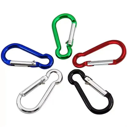 Refined Carabiner Clip Keychain
