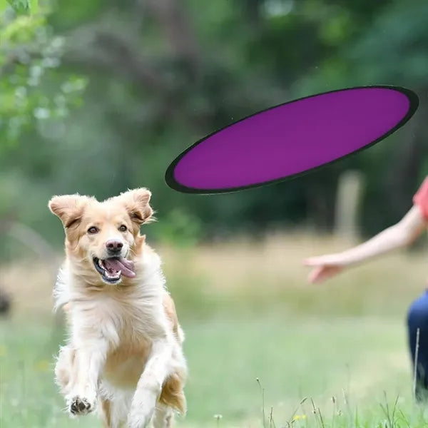 Customizable Foldable Flying Disc Hand Fan w/ Pouch