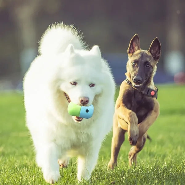 Dog Leaky Eating Ball Silicone Nibbling Bowl