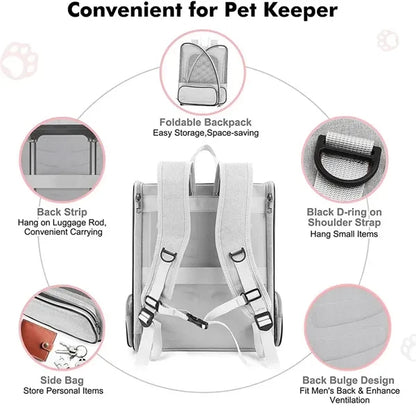 Double Shoulder Breathable Cat Travel Backpack