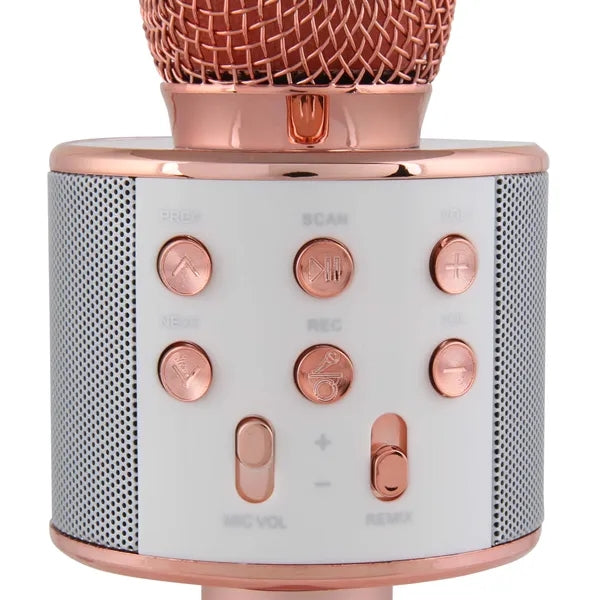 Smartphone Compatible Karaoke Mic