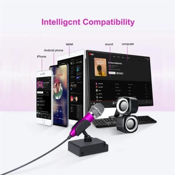 Mini Portable Microphone