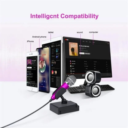 Mini Portable Microphone