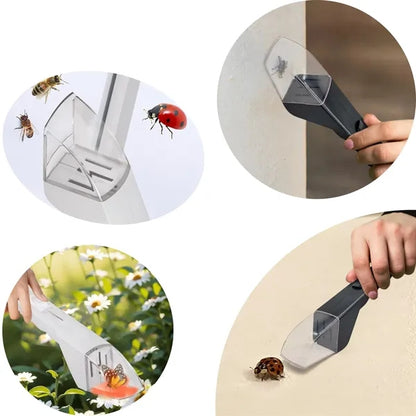 Portable Insect Catcher