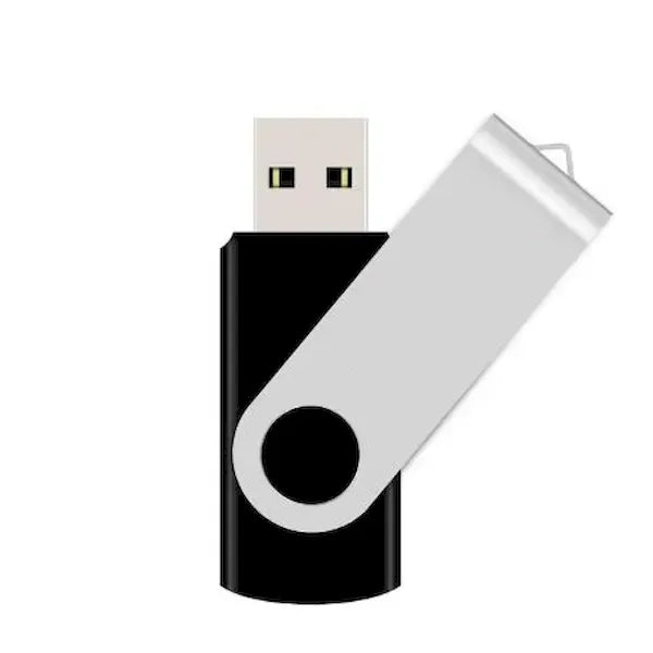 High Speed USB 2.0 Swivel Twister Flash Drive (2GB)