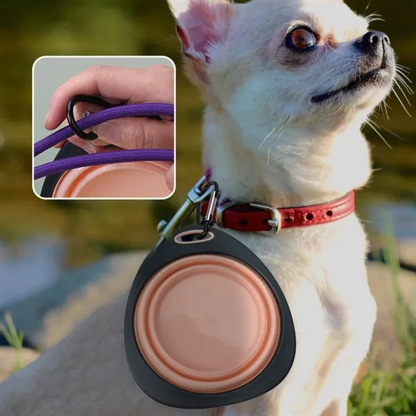11OZ Collapsible Pet Bowl with Climbing Carabiner