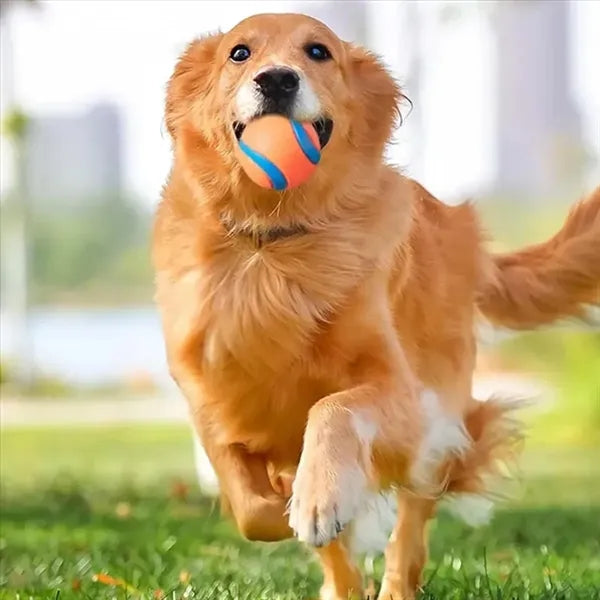 Pet Noise Toy Ball