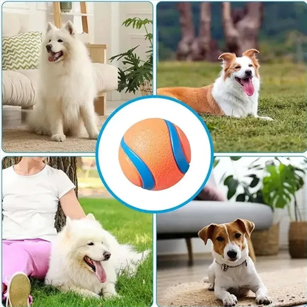 Pet Noise Toy Ball