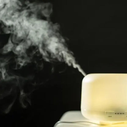 Ultrasonic Air Humidifier with LED Light