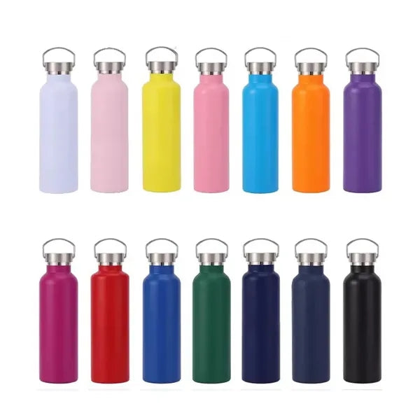 20oz Double Wall Sports Bottle with Handle & Lid
