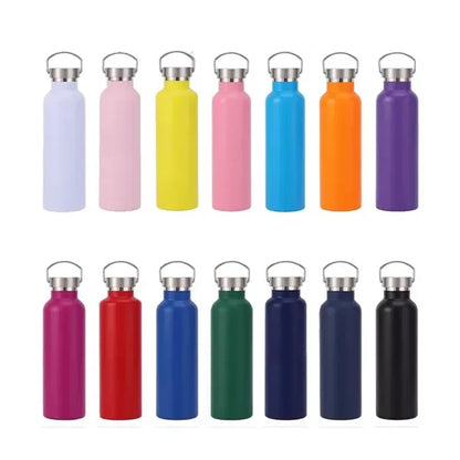 20oz Double Wall Sports Bottle with Handle & Lid