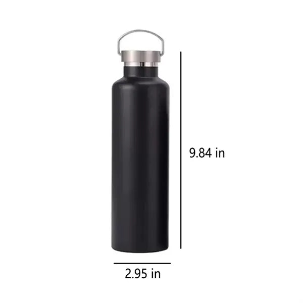 20oz Double Wall Sports Bottle with Handle & Lid