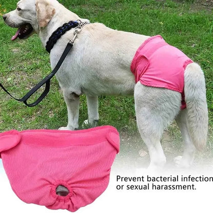 Female Dog Period Diapers