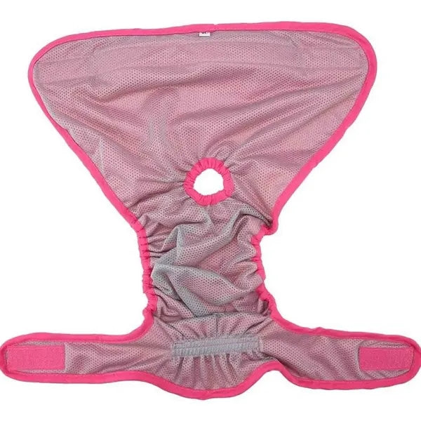 Female Dog Period Diapers