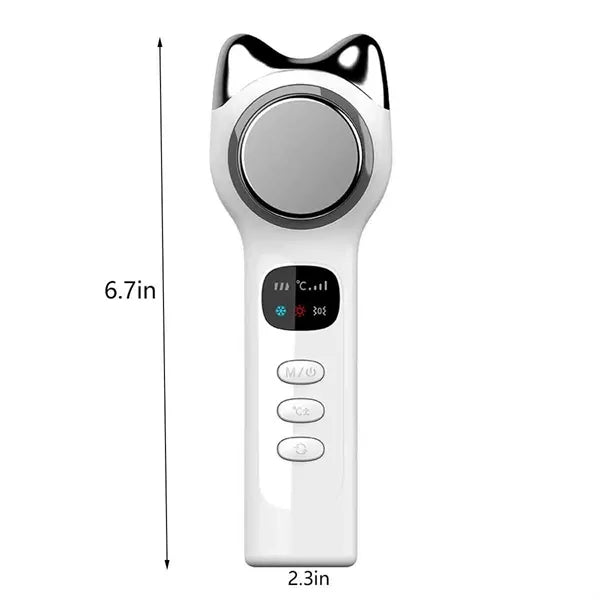 Electric Facial Massager