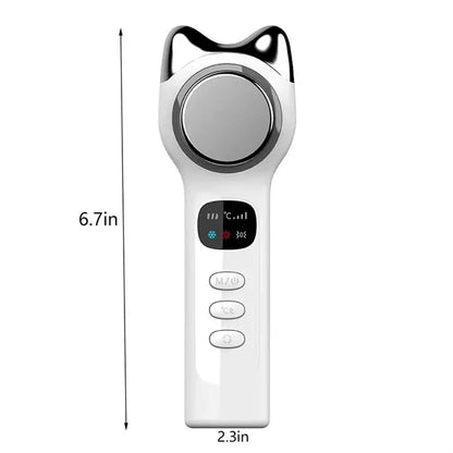 Electric Facial Massager