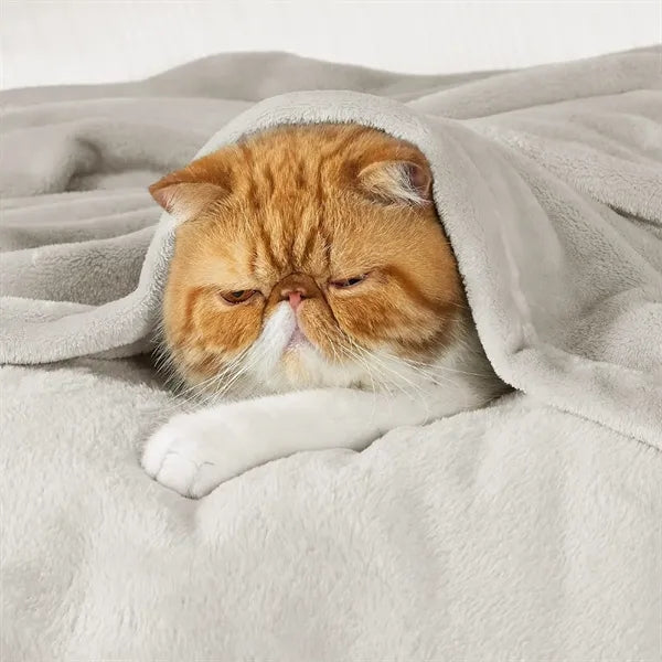 Embroidered Ultra Soft Pet Blanket