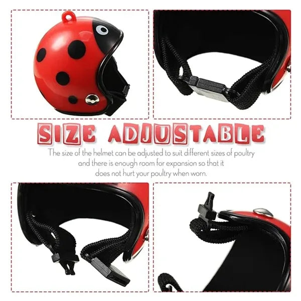 Custom Chicken Helmet Bird Headgear