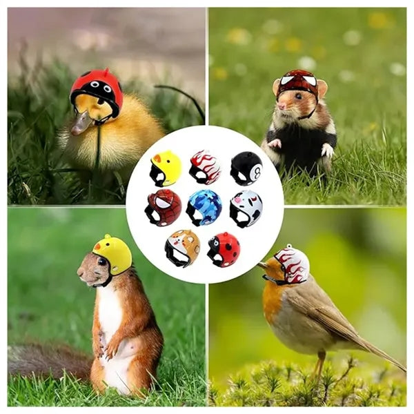 Custom Chicken Helmet Bird Headgear