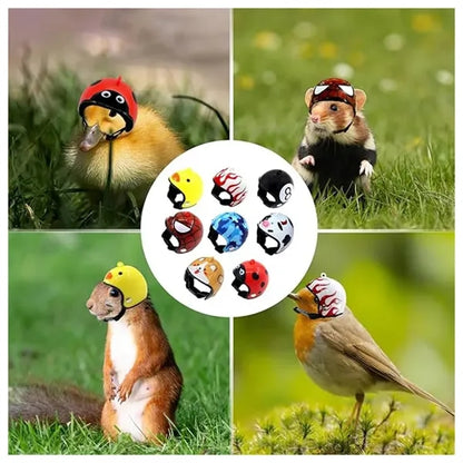 Custom Chicken Helmet Bird Headgear