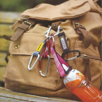 Carabiner Lanyard Keychain