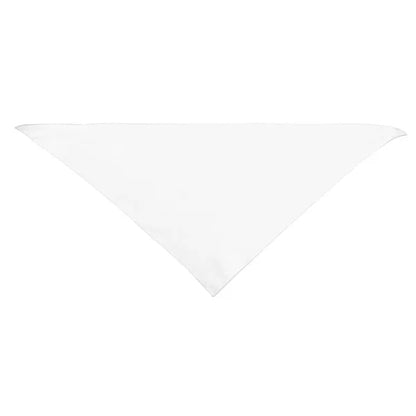 Large Triangle rPET Pet Bandana