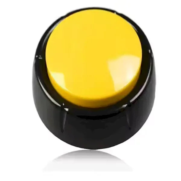 Easy Talking Button