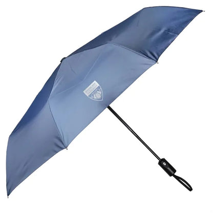 Auto Umbrella