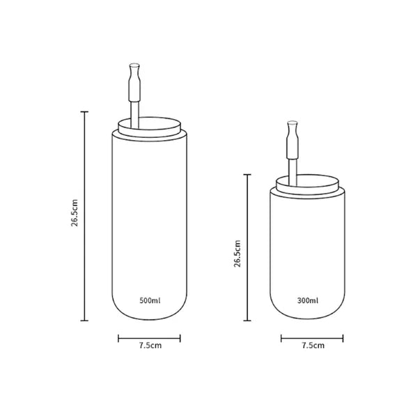 Stainless Steel Insulated Cup With Straw