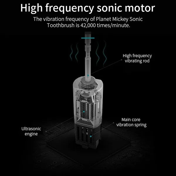 Custom Electric Toothbrush Rechargeable Battery Travel Case