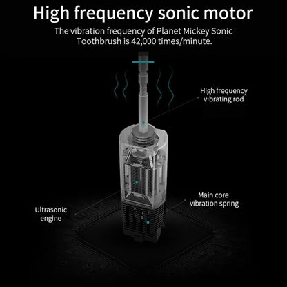 Custom Electric Toothbrush Rechargeable Battery Travel Case
