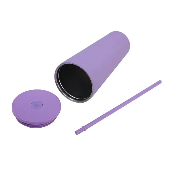 Simple Modern Insulated Tumbler with Straw