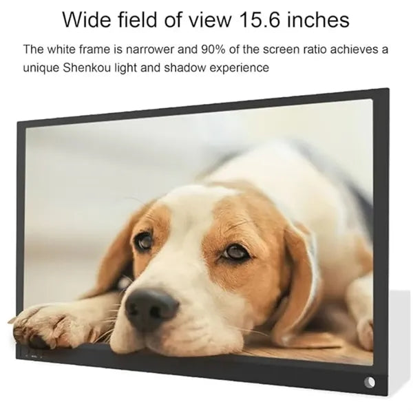 Portable Monitor 15.6 Inch IPS Display