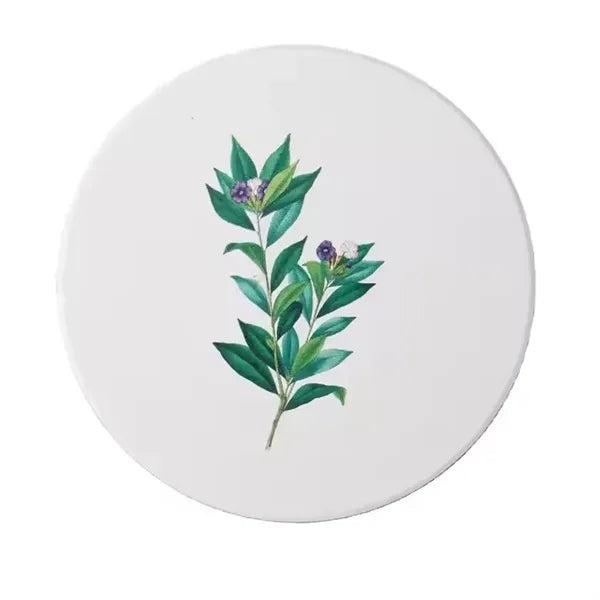 Absorbent Ceramic Coaster