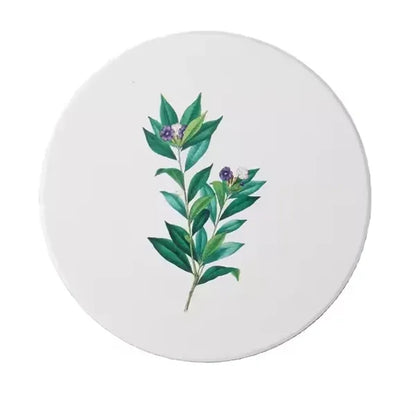 Absorbent Ceramic Coaster