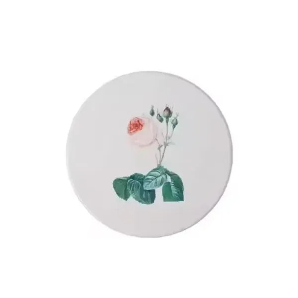 Absorbent Ceramic Coaster
